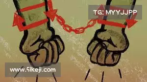 nexitally官网用户中心——冲浪无阻,尽享每一个在线时刻!